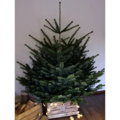 RUSTIKALE WEIHNACHTSBAUMSTÄNDER alte OBSTKISTE Christbaum Ständer aus Holz Weihnachtsdeko Vintage Holzkiste Baumhalter W Weihnachtsbaumdecken