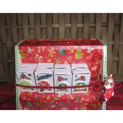 Schöner Adventskalender zum Füllen, aufwändig gestaltet Adventskalender
