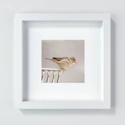 Sale Spatz Kunstdruck, kleiner Vogel, Vogel-Liebhaber-Geschenk, Tier, Kinderzimmerdekor Wand Dekoration, 13x13 cm, 20x20 cm Geschenke