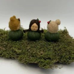 Sale Stechpalme Mini - Blumenkind - Jahreszeitentisch - Winter Sommer