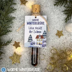 Clearance Tee Reagenzgläser weihnachtlich, personalisierte Geschenke, Früchtetee im Reagenzglas Weihnachtsgeschenke
