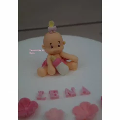 Online Tortenaufleger Fondant Zuckerfigur  Tortendeko Tortendekorationen Baby Zwillinge Babyshowerparty Geburt Tortendekoration