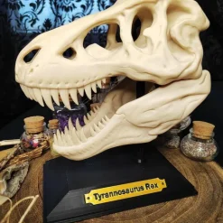 Clearance T-Rex Schädel Dinosaurier Kuriositätenkabinett Deko Halloween