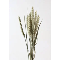 Tischdekoration|greetlings – greets & seeds Trockenblumen: 10 Stiele Weizen getrocknet, naturfarben, ca. 40 cm