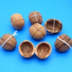 Bastelzubehör|kunstmitperlen Walnussschale Paar passende Hälften braune Walnuss Schalen  - Naturprodukt zum Dekorieren + Basteln + Floristik