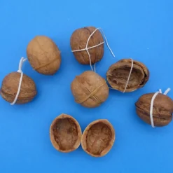 Bastelzubehör|kunstmitperlen Walnussschale Paar passende Hälften braune Walnuss Schalen  - Naturprodukt zum Dekorieren + Basteln + Floristik