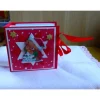 Sale Weihnachtliches-Teebeutelbüchlein,Mitbringsel,Geschenk,Weihnachtsstern Geschenkverpackungen