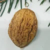 Sale Wichtel in Walnussschale – Christbaumschmuck aus Polymer Clay Baumschmuck