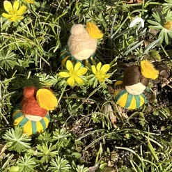 Hot Winterlinge Mini - Blumenkind - Jahreszeitentisch - Winter - Frühling Frühling